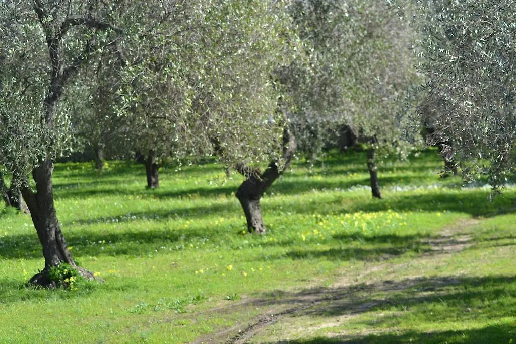 Country house Casa Masia Guest House Alghero